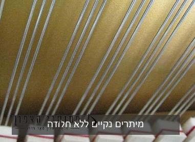 מיתרים נקיים