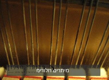 מיתרים חלודים